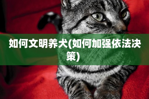 如何文明養犬(如何加強依法決策) 