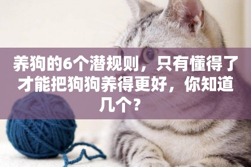 養狗的6個潛規則，只有懂得了才能把狗狗養得更好，你知道幾個？ 