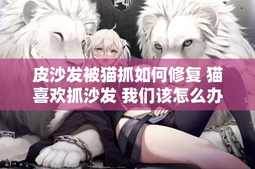 皮沙發被貓抓如何修復 貓喜歡抓沙發 我們該怎么辦?
