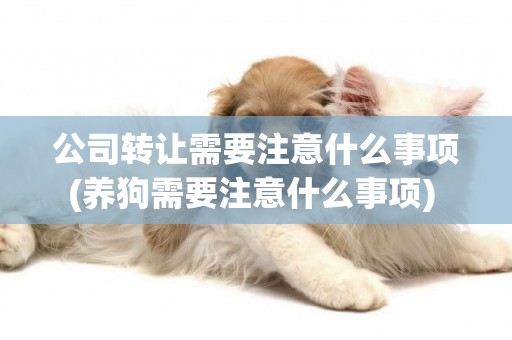 公司轉讓需要注意什么事項(養狗需要注意什么事項) 