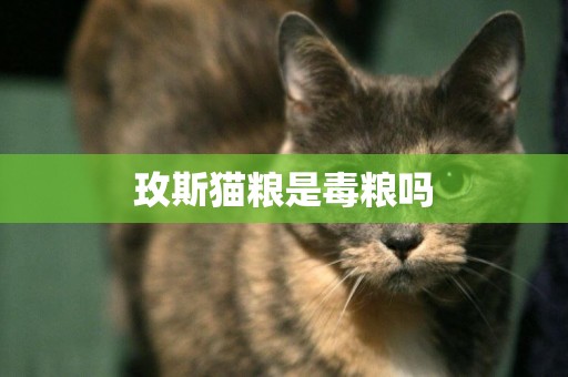 玫斯貓糧是毒糧嗎