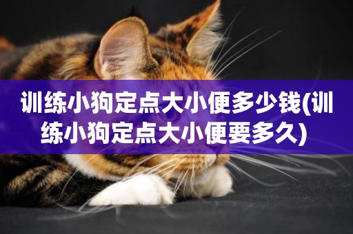 訓練小狗定點大小便多少錢(訓練小狗定點大小便要多久) 