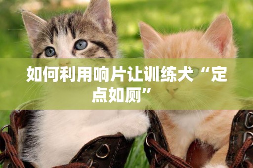 如何利用響片讓訓練犬“定點如廁” 