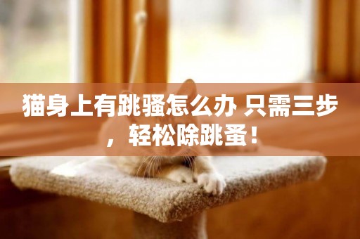貓身上有跳騷怎么辦 只需三步，輕松除跳蚤！