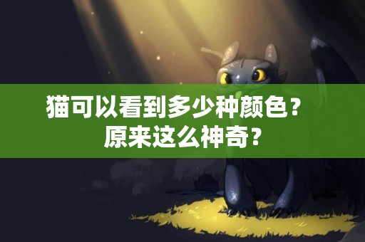 貓可以看到多少種顏色？ 原來這么神奇？