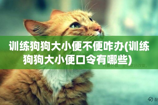 訓練狗狗大小便不便咋辦(訓練狗狗大小便口令有哪些) 