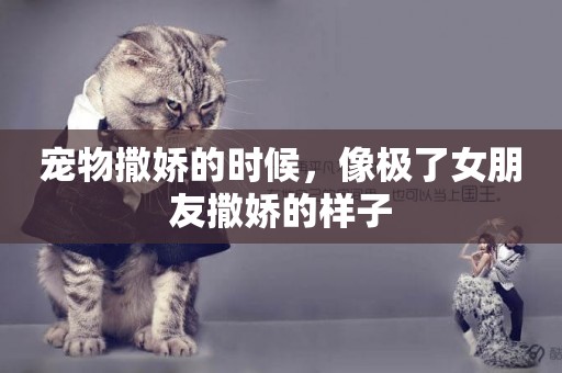 寵物撒嬌的時候，像極了女朋友撒嬌的樣子