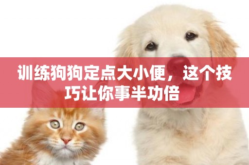 訓練狗狗定點大小便，這個技巧讓你事半功倍 