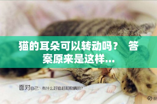 貓的耳朵可以轉動嗎？  答案原來是這樣...