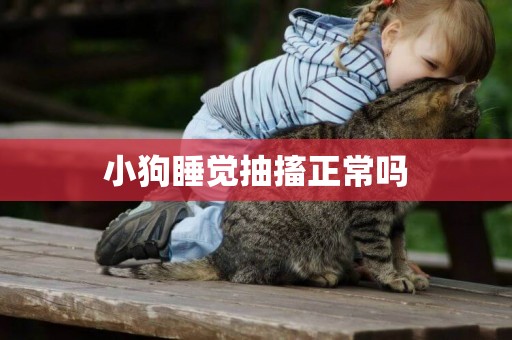小狗睡覺抽搐正常嗎