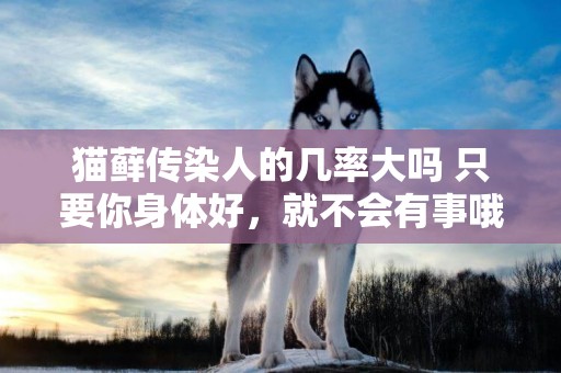 貓蘚傳染人的幾率大嗎 只要你身體好，就不會有事哦！