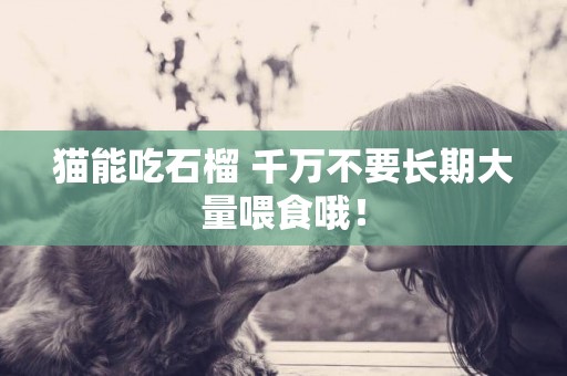 貓能吃石榴 千萬不要長期大量喂食哦！