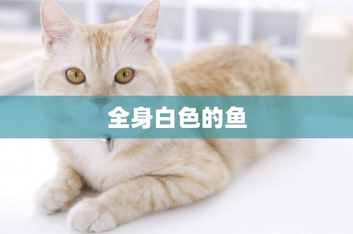 全身白色的魚
