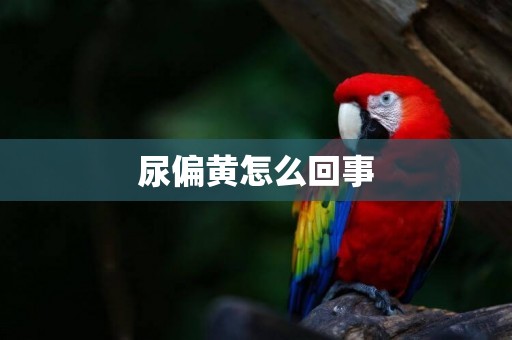尿偏黃怎么回事