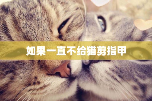 如果一直不給貓剪指甲