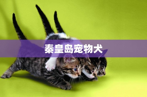 秦皇島寵物犬