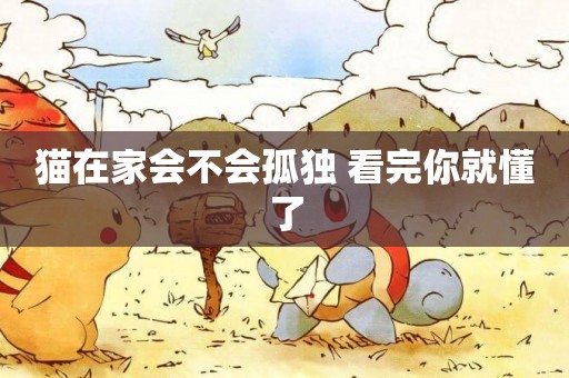 貓在家會不會孤獨 看完你就懂了