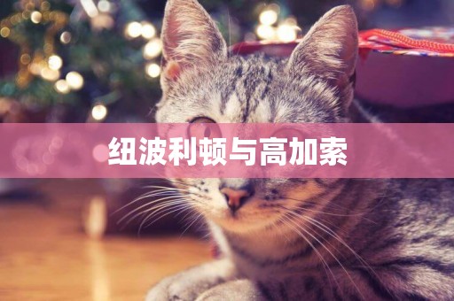 紐波利頓與高加索
