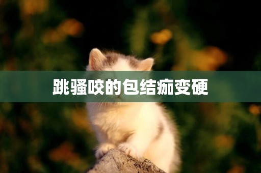 跳騷咬的包結痂變硬