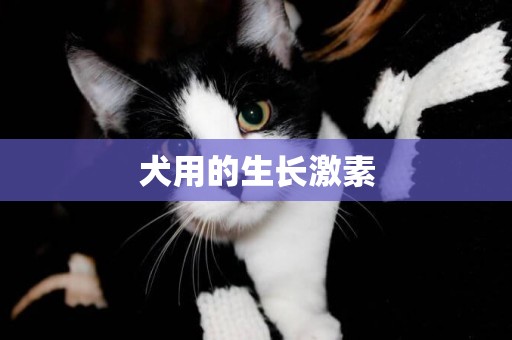 犬用的生長激素