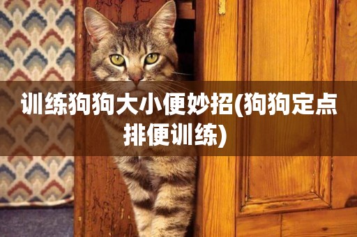 訓練狗狗大小便妙招(狗狗定點排便訓練) 