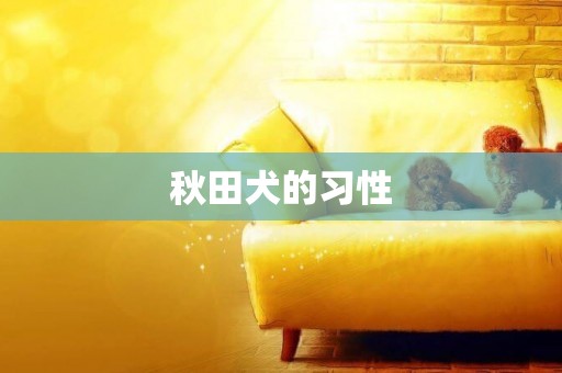 秋田犬的習性
