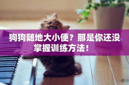 狗狗隨地大小便？那是你還沒掌握訓練方法！ 
