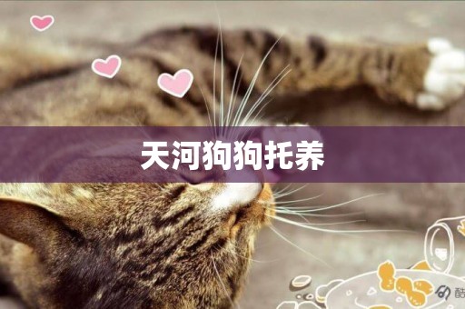 天河狗狗托養