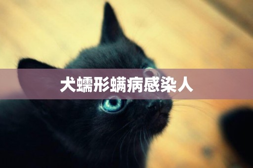 犬蠕形螨病感染人