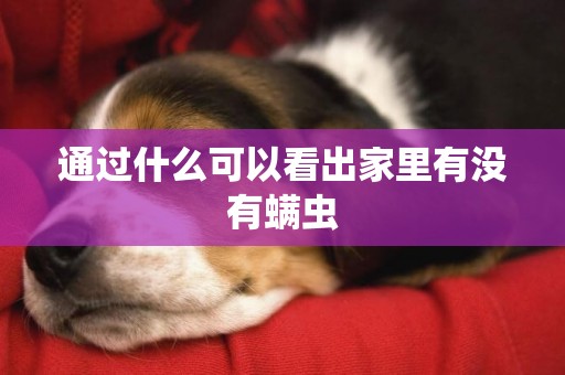 通過什么可以看出家里有沒有螨蟲