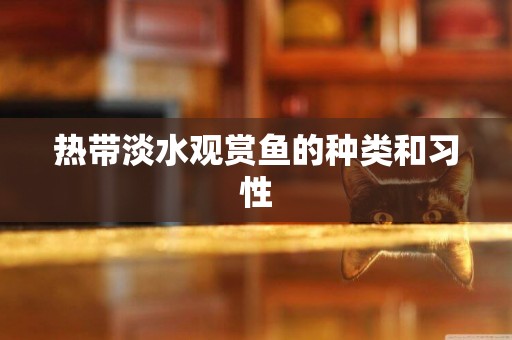 熱帶淡水觀賞魚的種類和習性