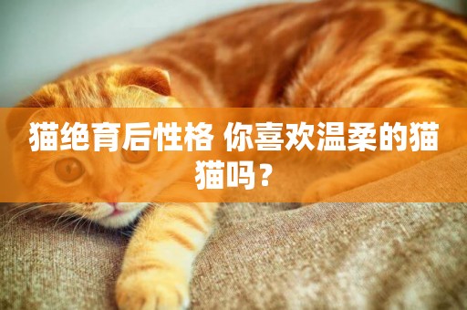 貓絕育后性格 你喜歡溫柔的貓貓嗎？
