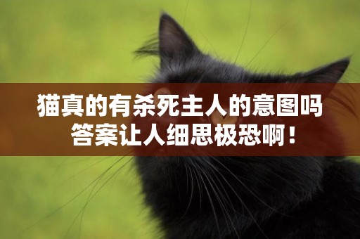 貓真的有殺死主人的意圖嗎 答案讓人細思極恐啊！