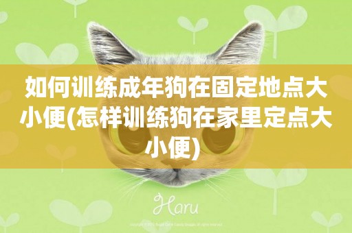 如何訓練成年狗在固定地點大小便(怎樣訓練狗在家里定點大小便) 
