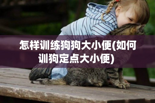 怎樣訓練狗狗大小便(如何訓狗定點大小便) 