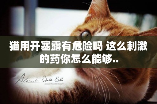 貓用開塞露有危險嗎 這么刺激的藥你怎么能夠..