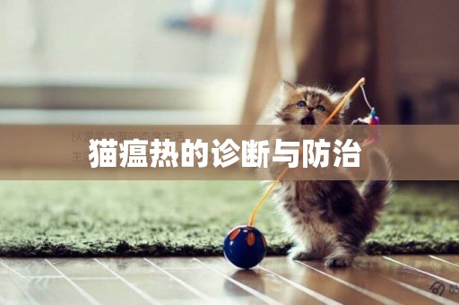 貓瘟熱的診斷與防治 
