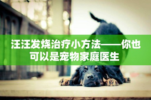 汪汪發燒治療小方法——你也可以是寵物家庭醫生 