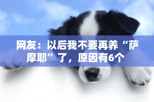 網友：以后我不要再養“薩摩耶”了，原因有6個 