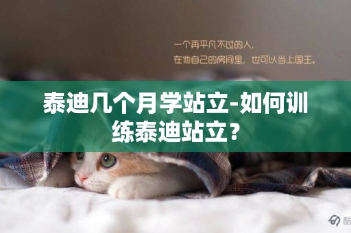 泰迪幾個月學站立-如何訓練泰迪站立？