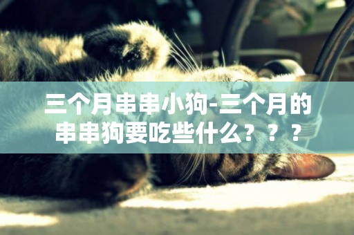 三個月串串小狗-三個月的串串狗要吃些什么？？？