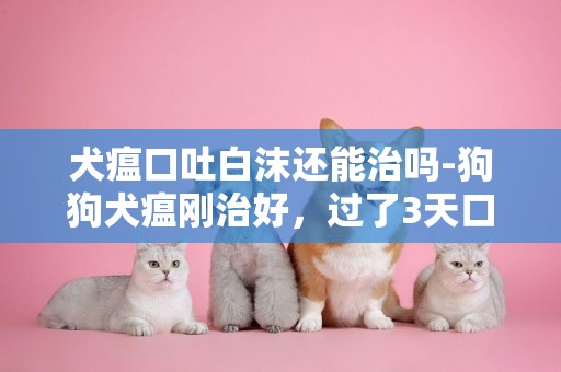 犬瘟口吐白沫還能治嗎-狗狗犬瘟剛治好，過了3天口吐白沫是怎么回事？
