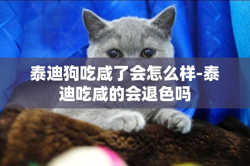 泰迪狗吃咸了會怎么樣-泰迪吃咸的會退色嗎