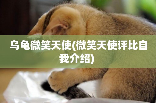 烏龜微笑天使(微笑天使評比自我介紹) 