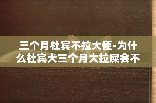 三個月杜賓不拉大便-為什么杜賓犬三個月大拉屎會不成形，杜賓犬大便軟不成形？