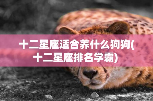 十二星座適合養什么狗狗(十二星座排名學霸) 