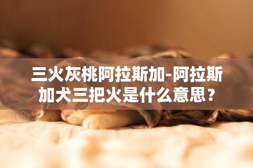 三火灰桃阿拉斯加-阿拉斯加犬三把火是什么意思？