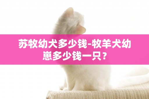 蘇牧幼犬多少錢-牧羊犬幼崽多少錢一只？