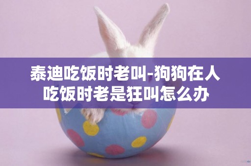 泰迪吃飯時老叫-狗狗在人吃飯時老是狂叫怎么辦