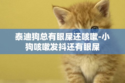 泰迪狗總有眼屎還咳嗽-小狗咳嗽發抖還有眼屎